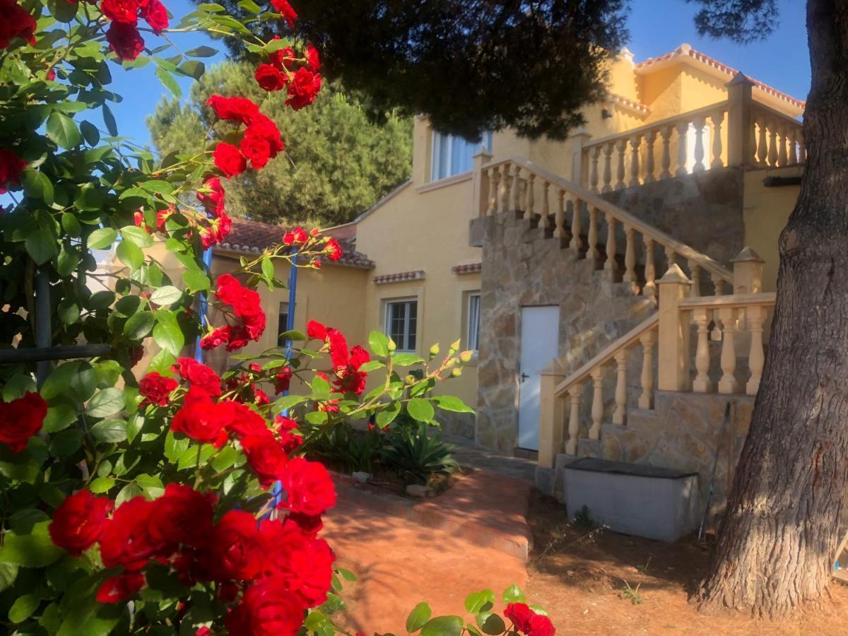 Villa Eliza Денія Екстер'єр фото
